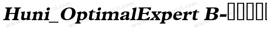 Huni_OptimalExpert B字体转换